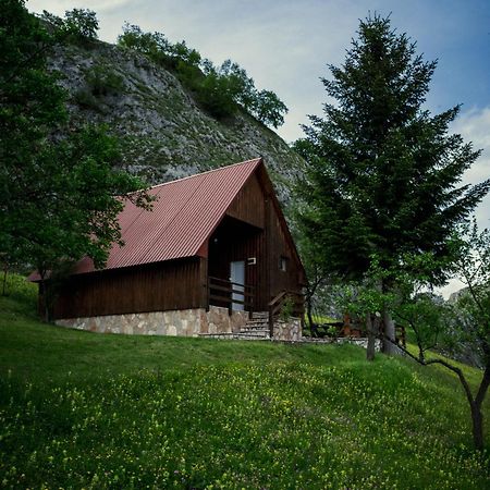 Detached House Milivoje Hotel Poscenje Eksteriør billede