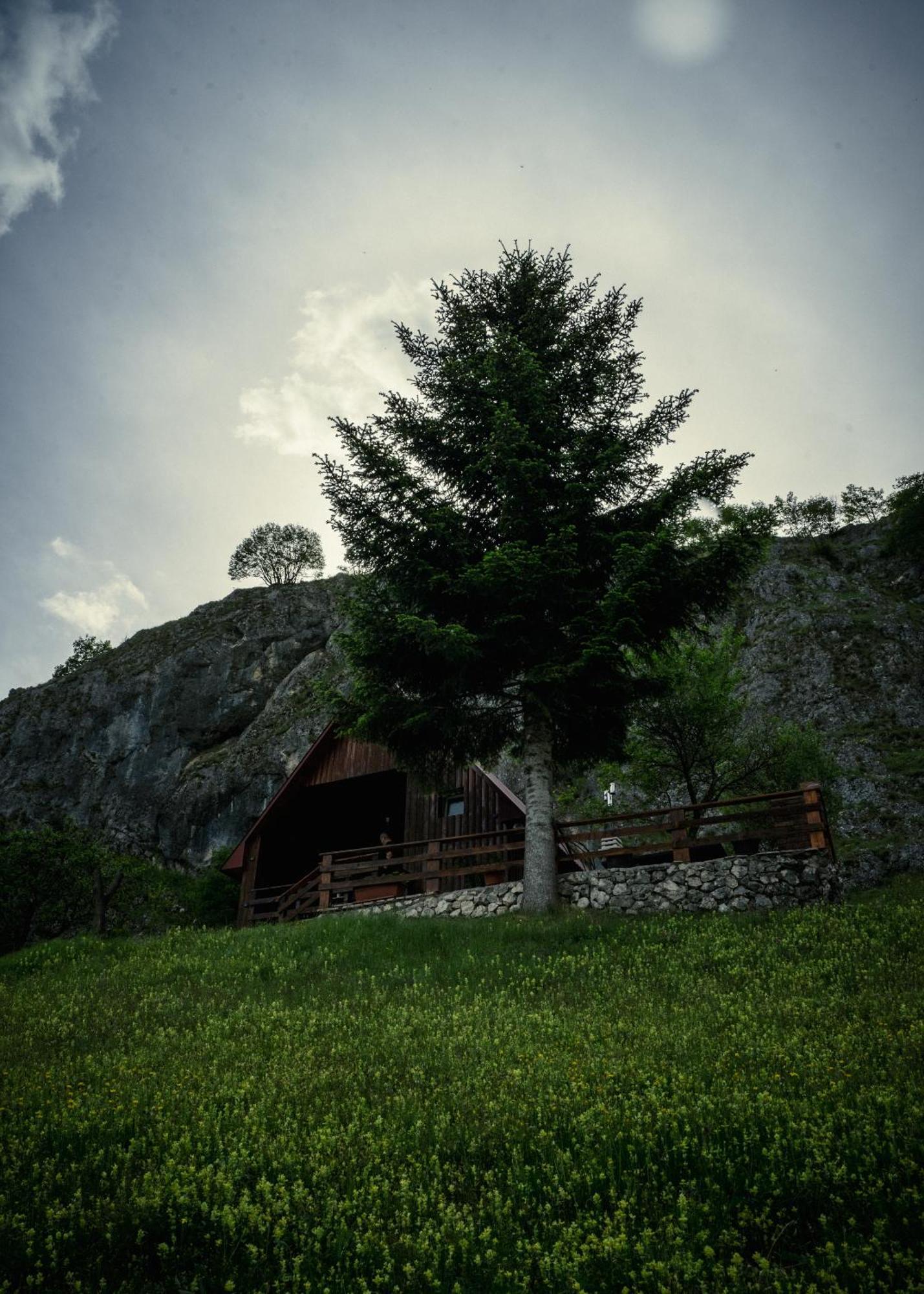 Detached House Milivoje Hotel Poscenje Eksteriør billede