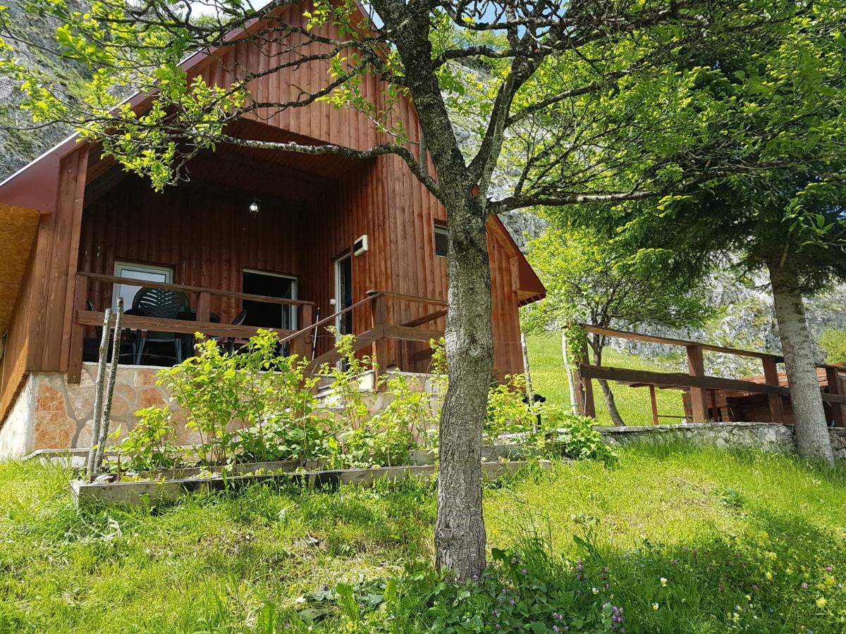 Detached House Milivoje Hotel Poscenje Eksteriør billede